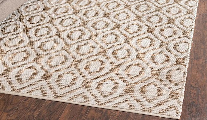 jute rug cleaning in Houston & Woodlands