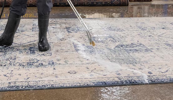 professional rug cleaning and washing service