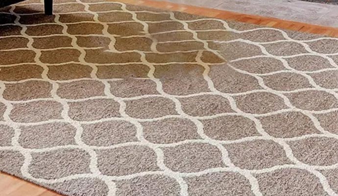 Professional acrylic rugs cleaning service