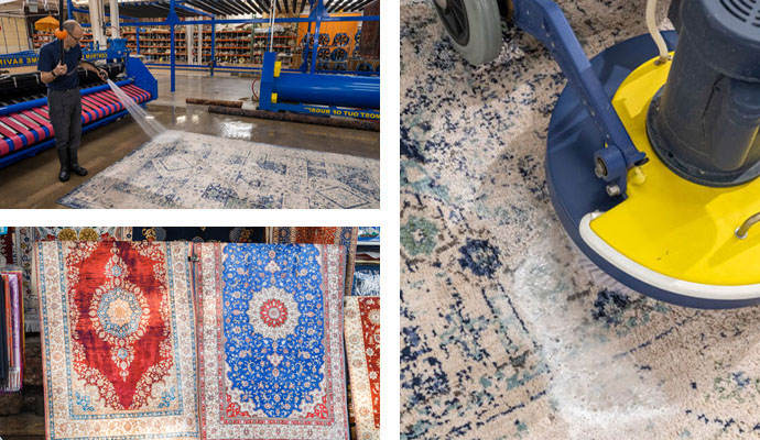 Professional Oriental Rug Cleaning by Great American