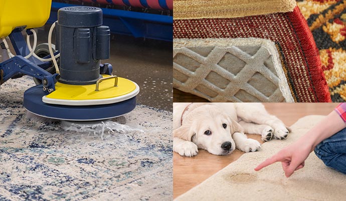 Rug cleaning, rug repair and pet odor removal service