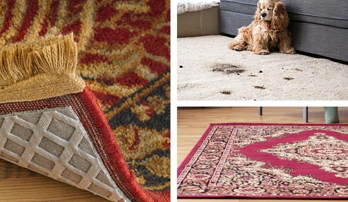 rug pad rug odor removal and rug protective coatings
