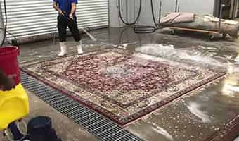 Great American Rug Cleaning Company, The Great Rug Company Houston Texas